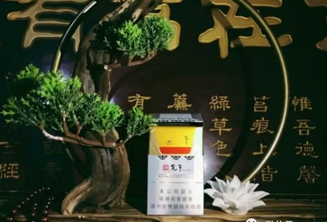 5元海鸟香烟批发